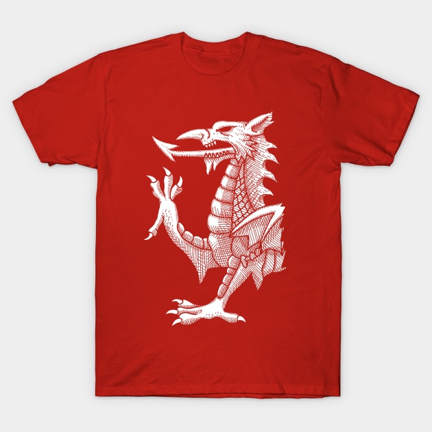 Welsh Dragon Hatching T-Shirt by GAz